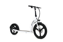 Badger Electric Scooter